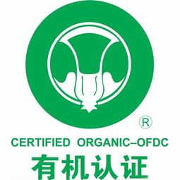 精品推荐 石家庄快易企业管理咨询中心 – 专业高效的企业管理咨询伙伴